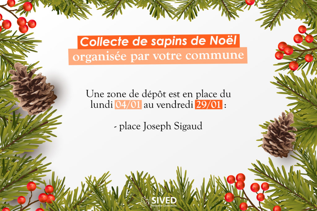 Collecte des sapins de Noël : | Mairie de Cotignac – Village de caractère